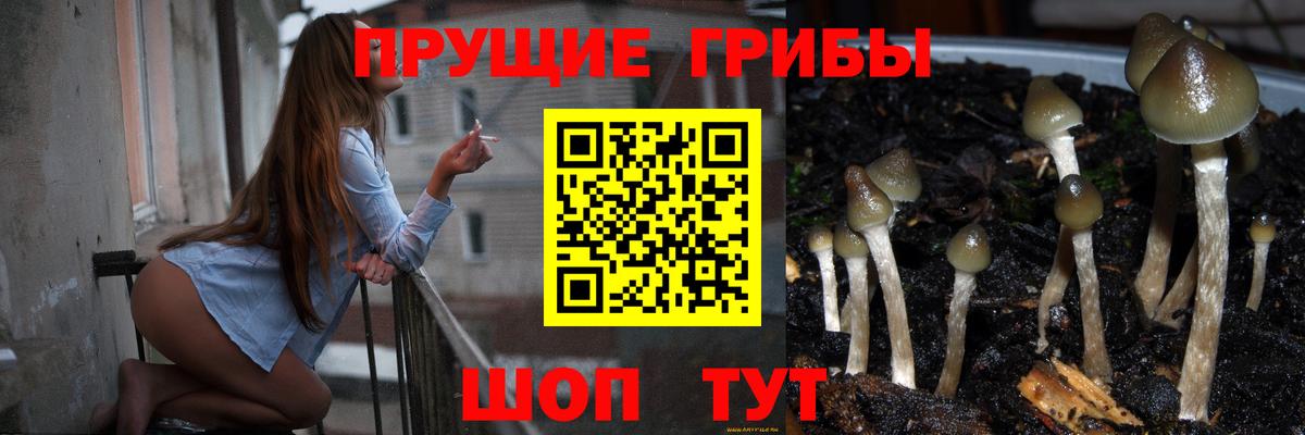 Галлюциногенные грибы мицелий  Вход с VPN  продажа наркотиков  Каспийск  Галлюциногенные грибы MAGIC MUSHROOMS 
